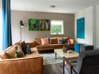 Comfortable family and friends house with wellness - Vlagtwedde - 7