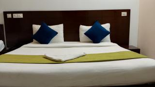 Hotel Royal Tark INN Near IGI Airport - Neu-Delhi - 4