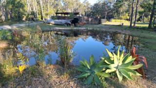 Rustic Retreat - Boonooroo - 8