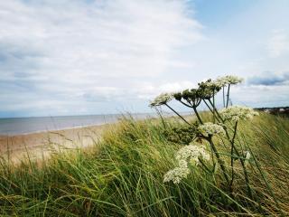 Happy Days Seaside Trusthorpe - Trusthorpe - 1