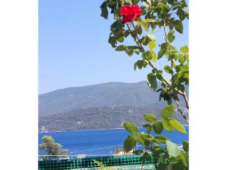 Blue Sunrise House - 230m from beach - Loutra Elenis - 8