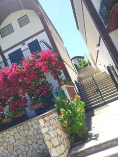 Villa Montoro - Sperlonga - 9