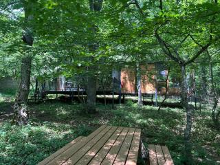 Nina's winery forest house in Kiketi - Tiflis - 8