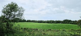 Tullywolly Cottage, Irvinestown - 1