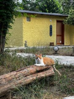 Phaselis Park Camping - Kemer - 8