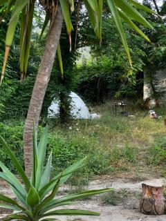 Phaselis Park Camping - Kemer - 7