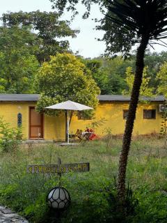 Phaselis Park Camping - Kemer - 5