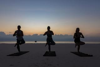 Nomad Beach Resort - Diani Beach - 6