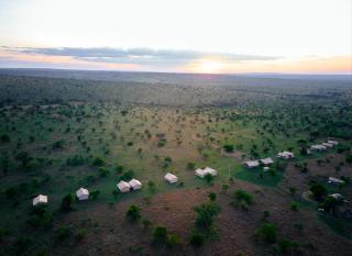 Pamoja Migration Camp - Serengeti - 0