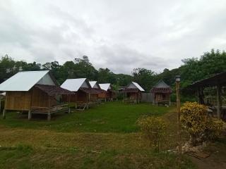 Sparrow Hut - Pai - 0
