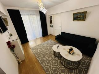Victoriei Dream Stay - Bucharest - 6