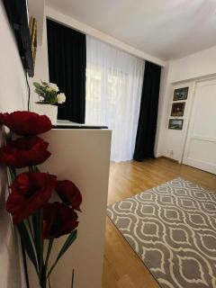 Victoriei Dream Stay - Bucharest - 7