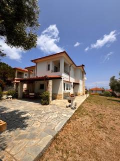 The Big Olive Tree - Hanioti - 0