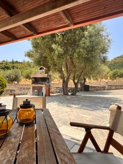 The Big Olive Tree - Hanioti - 6