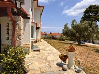 The Big Olive Tree - Hanioti - 5