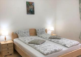 Casa Oaspeti Transfagarasan - Cîrţişoara - 6