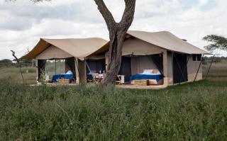 Migration UnderCanvas - Serengeti - 0