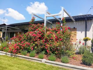 Noclegi, pokoje, kwatery "Nad Bzurą" - 3