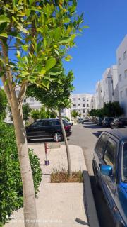 The Diplomatic Forest Haven - 2