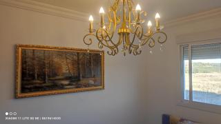 The Diplomatic Forest Haven - Tangier - 9