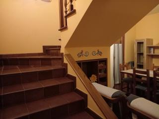 Il gelsomino del Perugino - 1