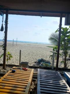 Calm water retreat - Alleppey - 4