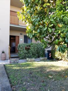 Il gelsomino del Perugino - 7