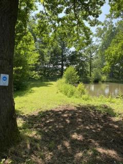 Naturerlebnis Schlafcontainer auf dem Bauernhof - Leutershausen - 3
