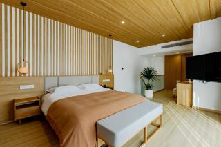 Jizhi Yishanyun Holiday Hotel Hongcun Branch - Huangshan - 4