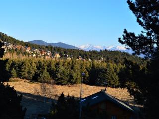 Chalet 2 pièces mezzanine, 7 pers, animaux admis, balcon, cuisine équipée - FR-1-592-27 - Bolquere Pyrenees 2000 - 1