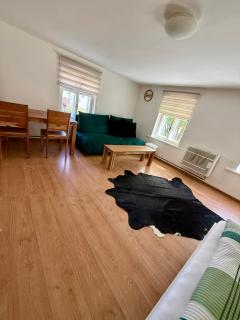 ApartmanZ - Javorník - 1