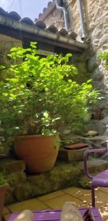 le balcon - Camps-sur-lʼAgly - 9