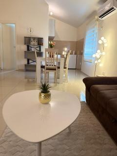 Apartmani Stijepovic - Podgorica - 8