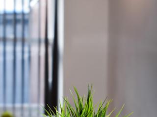 CASTLE STREET - City Centre 2 bedroomed Apt sleeps 8 - Liverpool - 4