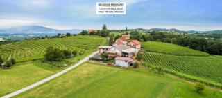 Guesthouse Prenočišča Širec - Ptuj - 0