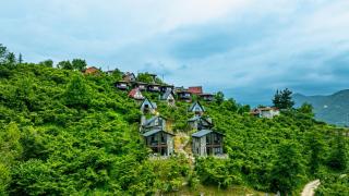 Gafulluk Tatil Köyü - Araklı - 0