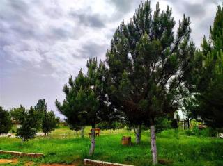 Arnabat Guest house - Bosteri - 9