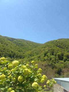 Arabachyan guest house - Aygut - 4