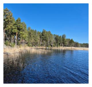RANTATALO ONNELAN LUMO 12 hlöä- 220m2 Himos 10min autolla - Jämsä - 1