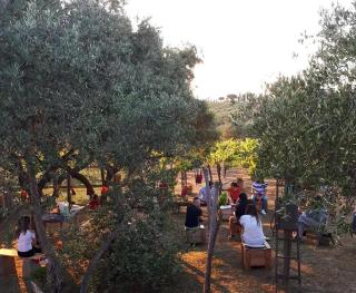 Poggio agli Ulivi - Frascati - 7
