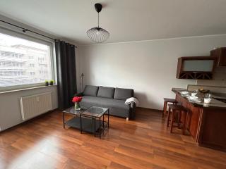 Grey Studio Gdynia - Gdynia - 8