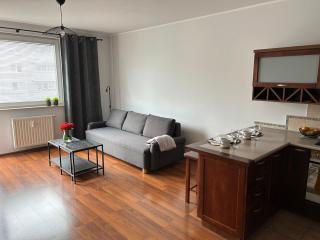 Grey Studio Gdynia - Gdynia - 6