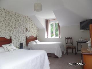 Dromard House - Enniskillen - 8
