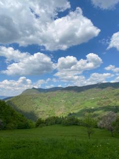 Mountain Prestige - - 8