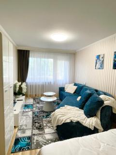 Dani apartment - Panevėžys - 0