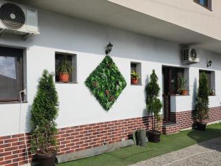 Casa Lipianu - Târgu Jiu - 7