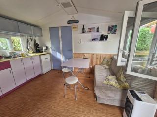 Mobil home Climatisé 4-6 personnes - Sainte-Eulalie-en-Born - 5