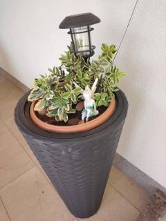 Paula Apartmani - 7