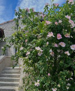 Gîte du Hameau - Vogüé - 3