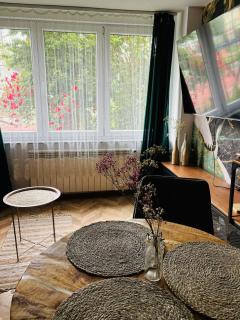Industrial apartament - Sandomierz - 7
